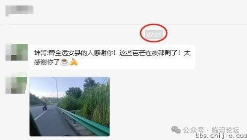 远安最新爆料事件视频,视频揭露惊人真相,事件背后有何隐情?