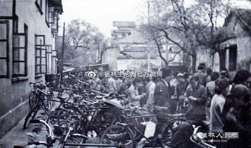 桂林最新新闻爆料视频播放,视频揭秘神秘事件!