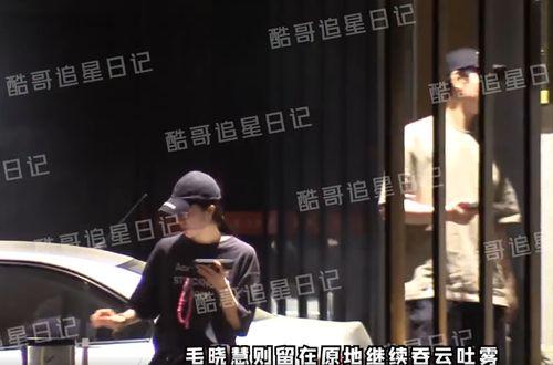 晓慧爆料视频大全集在线观看,揭秘幕后真相,带你走进事件核心