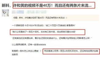 最新爆料曝光视频下载,独家视频下载幕后真相大曝光!
