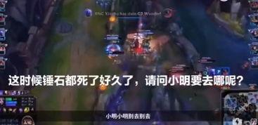 流浪者语音台词爆料视频,幕后故事与情感波动  第3张 流浪者语音台词爆料视频,幕后故事与情感波动  第3张