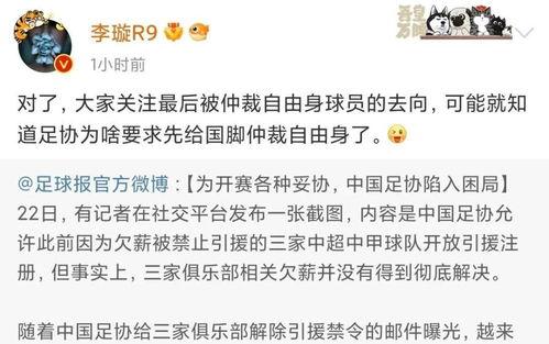 李璇爆料越南视频,揭秘背后惊人内幕  第2张 李璇爆料越南视频,揭秘背后惊人内幕  第2张