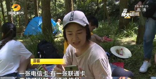 网红乐仔吃瓜视频,揭秘网红圈幕后故事  第3张 网红乐仔吃瓜视频,揭秘网红圈幕后故事  第3张