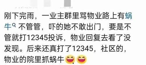 免费吃瓜群靠什么红包,红包背后的神秘力量  第3张 免费吃瓜群靠什么红包,红包背后的神秘力量  第3张