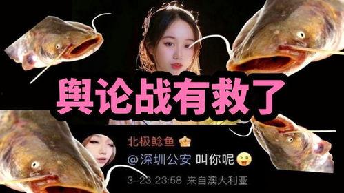 北极鲶鱼爆料博主视频,揭秘博主爆料视频背后的真相  第2张 北极鲶鱼爆料博主视频,揭秘博主爆料视频背后的真相  第2张