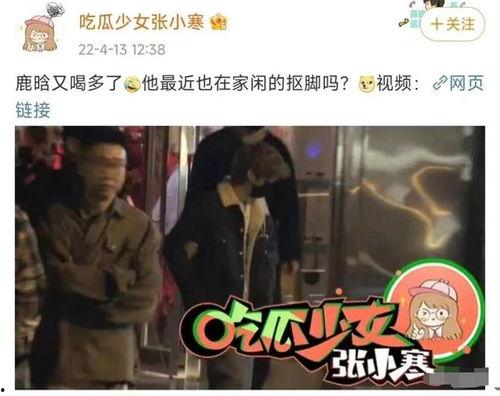 狗仔爆料加菲视频播放,加菲猫萌态视频走红网络  第3张 狗仔爆料加菲视频播放,加菲猫萌态视频走红网络  第3张