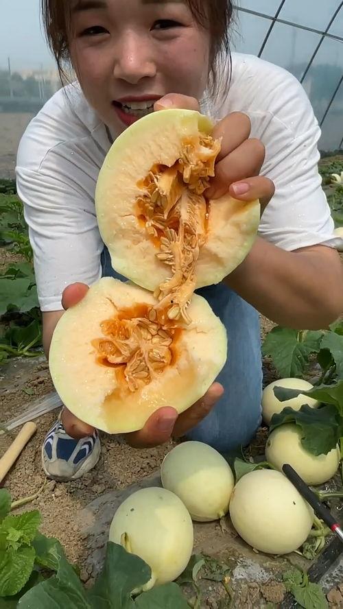网红吃瓜猛料黄料事件  第2张 网红吃瓜猛料黄料事件  第2张