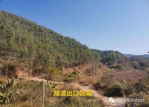 梅州民生820最新爆料,揭秘背后惊人真相!  第2张 梅州民生820最新爆料,揭秘背后惊人真相!  第2张